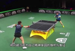 体育圈粉丝,激情燃烧的岁月，热血沸腾的追随